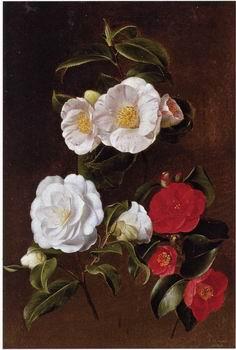 unknow artist Floral, beautiful classical still life of flowers 028 oil painting picture